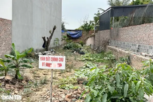 Đề xuất bỏ sổ hồng bằng giấy